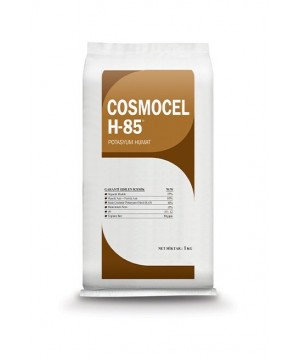 Cosmocel H-85 1 kg