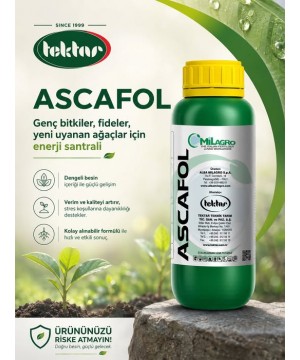 ascafol 1 lt 